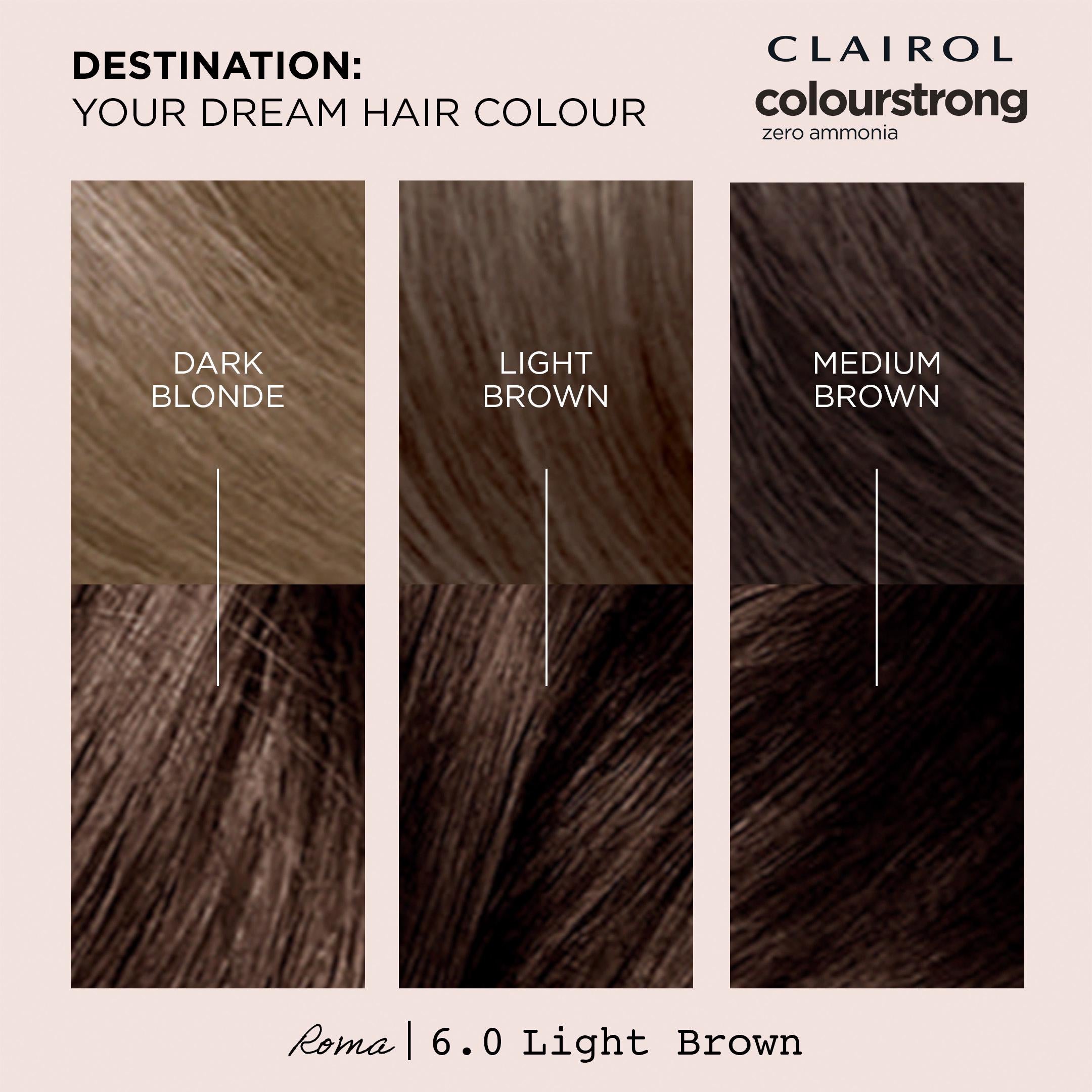 Clairol Colour Strong Light Brown 6.0 permanent hair dye, UK version