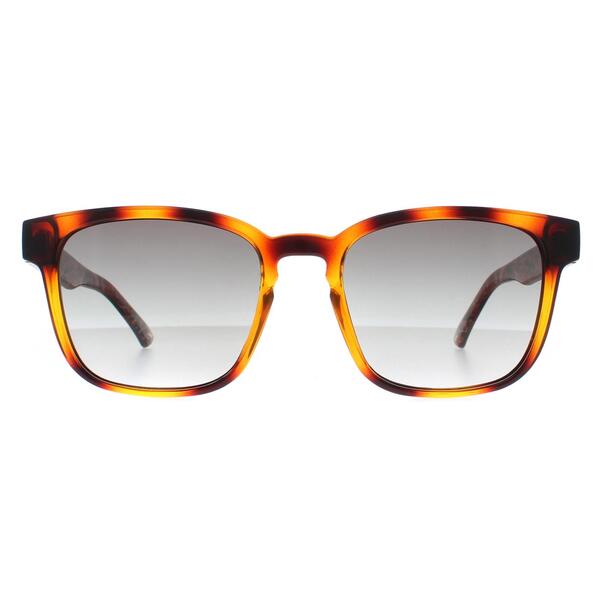 Ted Baker brown square frame men's sunglasses, imported from the UK