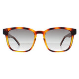 Ted Baker brown square frame men's sunglasses, imported from the UK