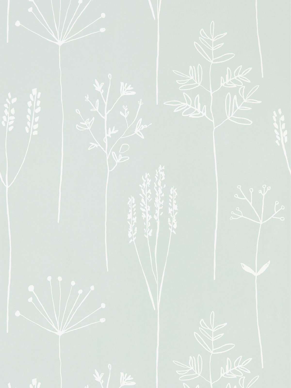 Scion wallpaper Green Stipa 10.05M (British brand)