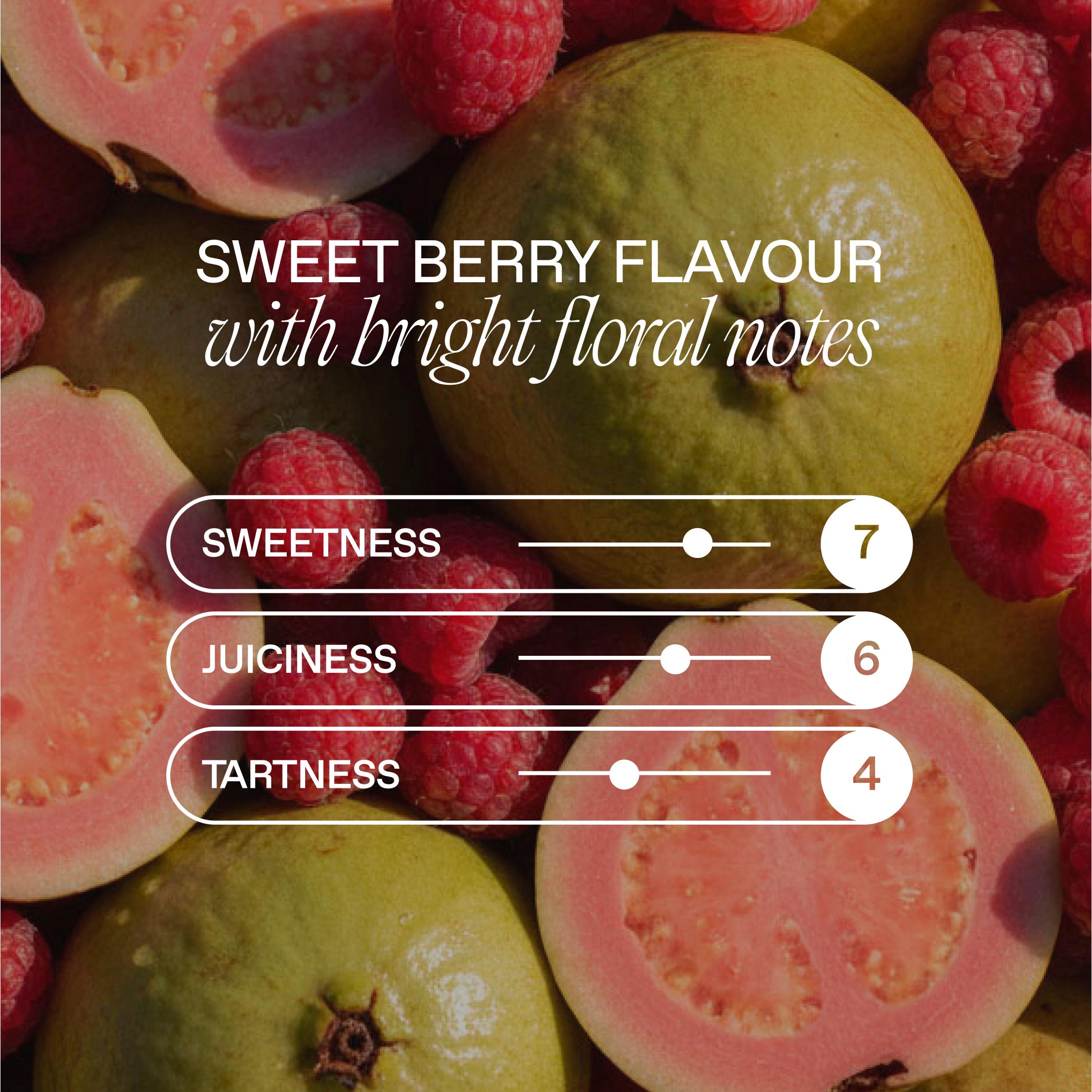 Goodrays CBD drink Raspberry and Guava 330ml can (British brand)