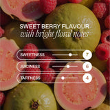 Goodrays CBD drink Raspberry and Guava 330ml can (British brand)