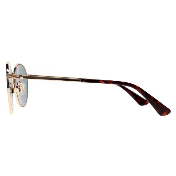 Police Roadie 4 gold men's sunglasses, UK version