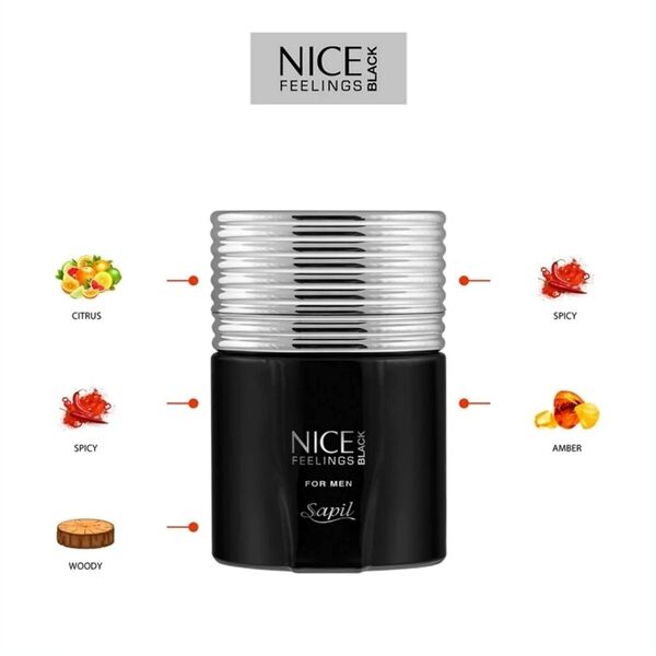 Sapil Nice Feelings Black Edition men's fragrance 100ml (British brand)