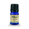 Holly Botanic Uplifting Essential Oil Blend 10ml, UK version