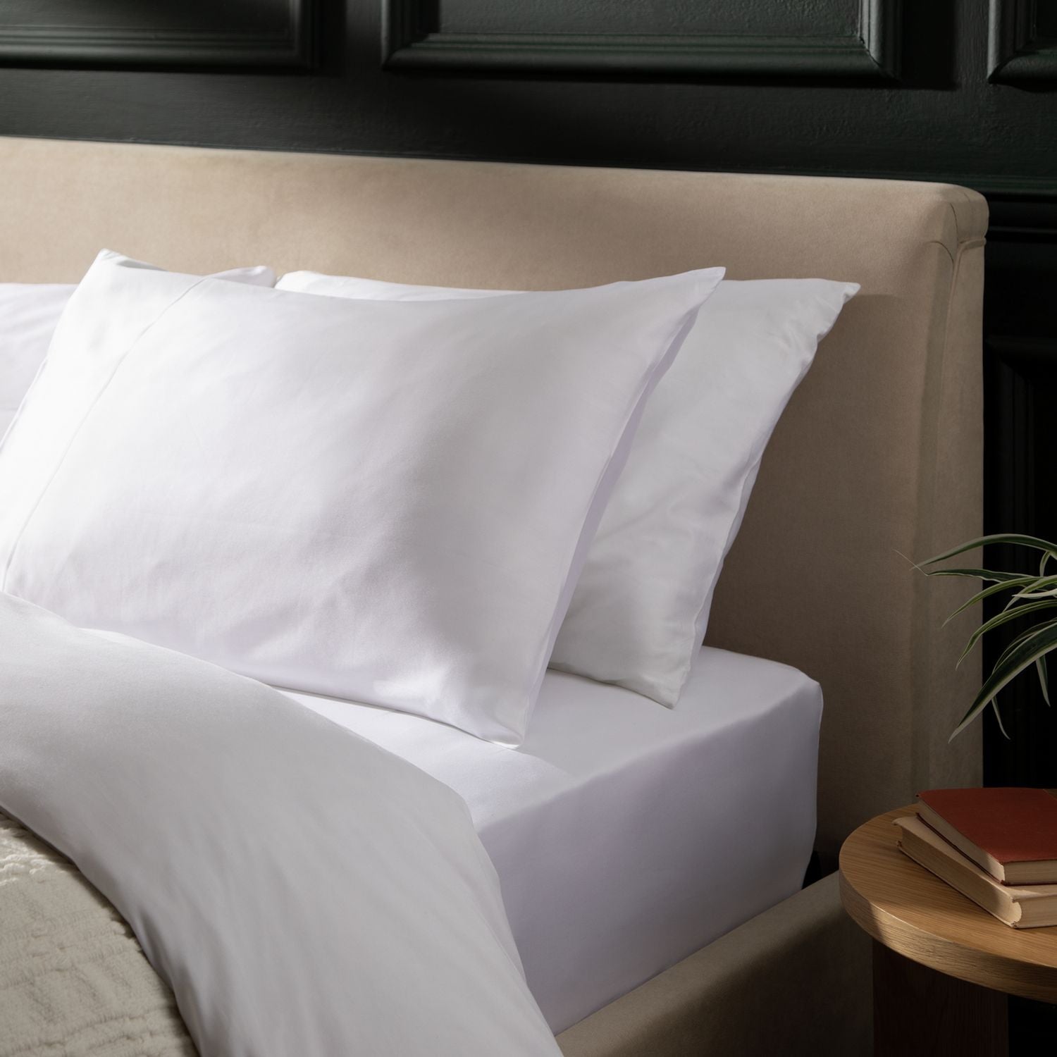 Habitat Cotton 800 TC Standard Pillowcase Pair - White