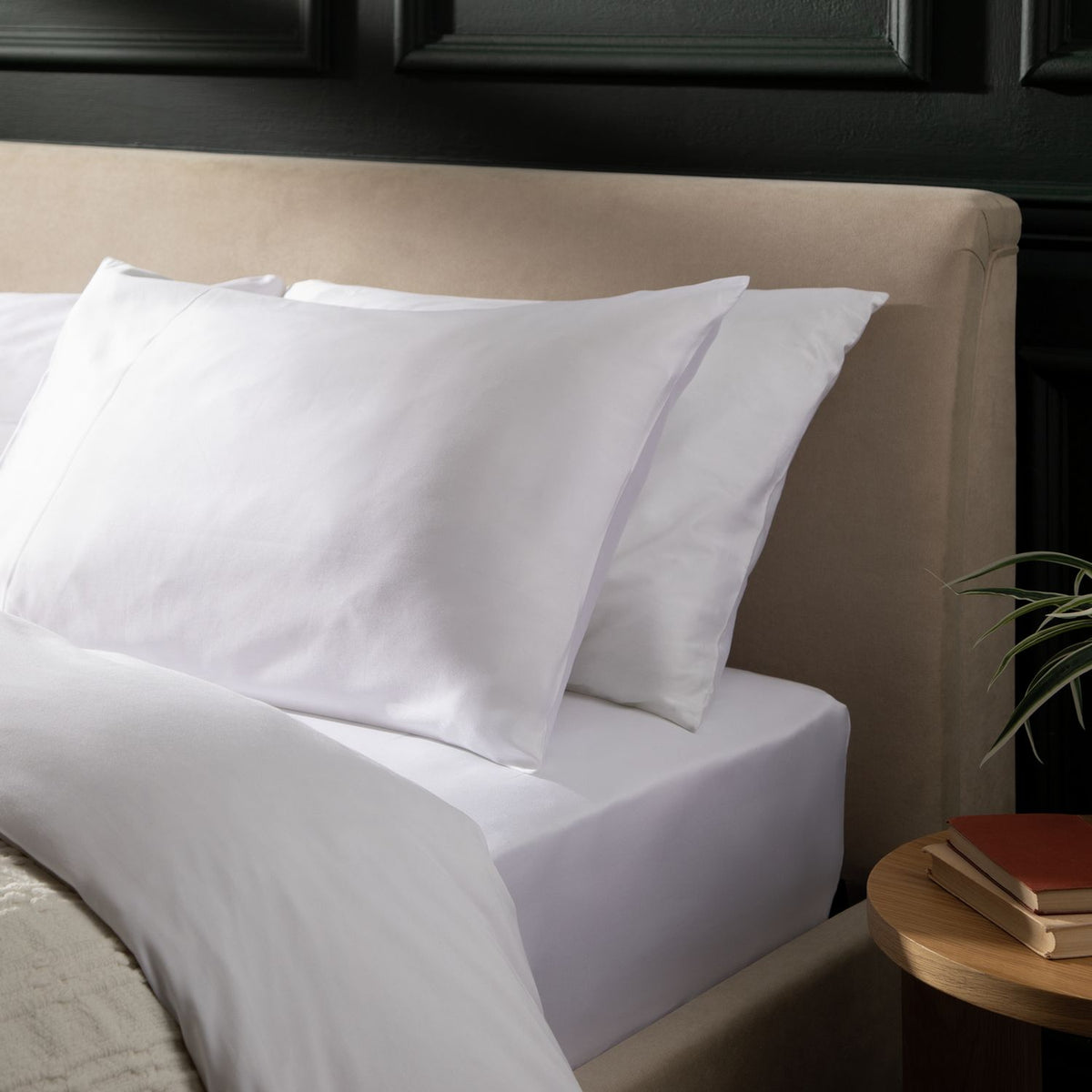 Habitat Cotton 800 TC Standard Pillowcase Pair - White