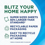 Regina Blitz Household Towel, 8 Pack (70 Sheets Per Roll) GOODS Costco UK