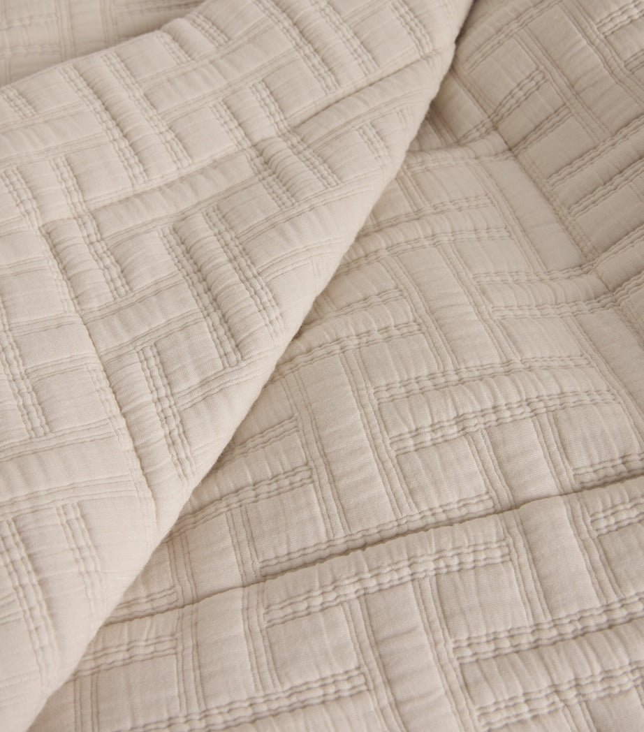Peter Reed Embroidered Kengo throw 310cm x 150cm, imported from the UK