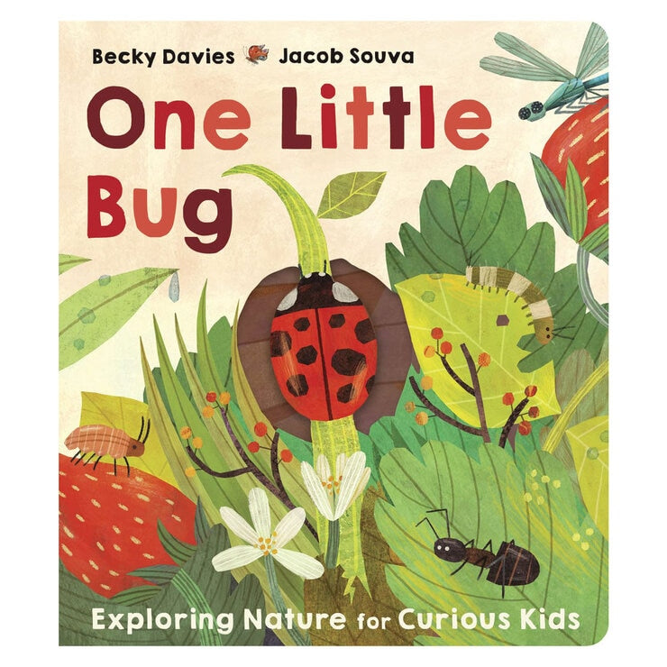 One Little Board Book by Becky Davies and Jacob Souva (British brand)