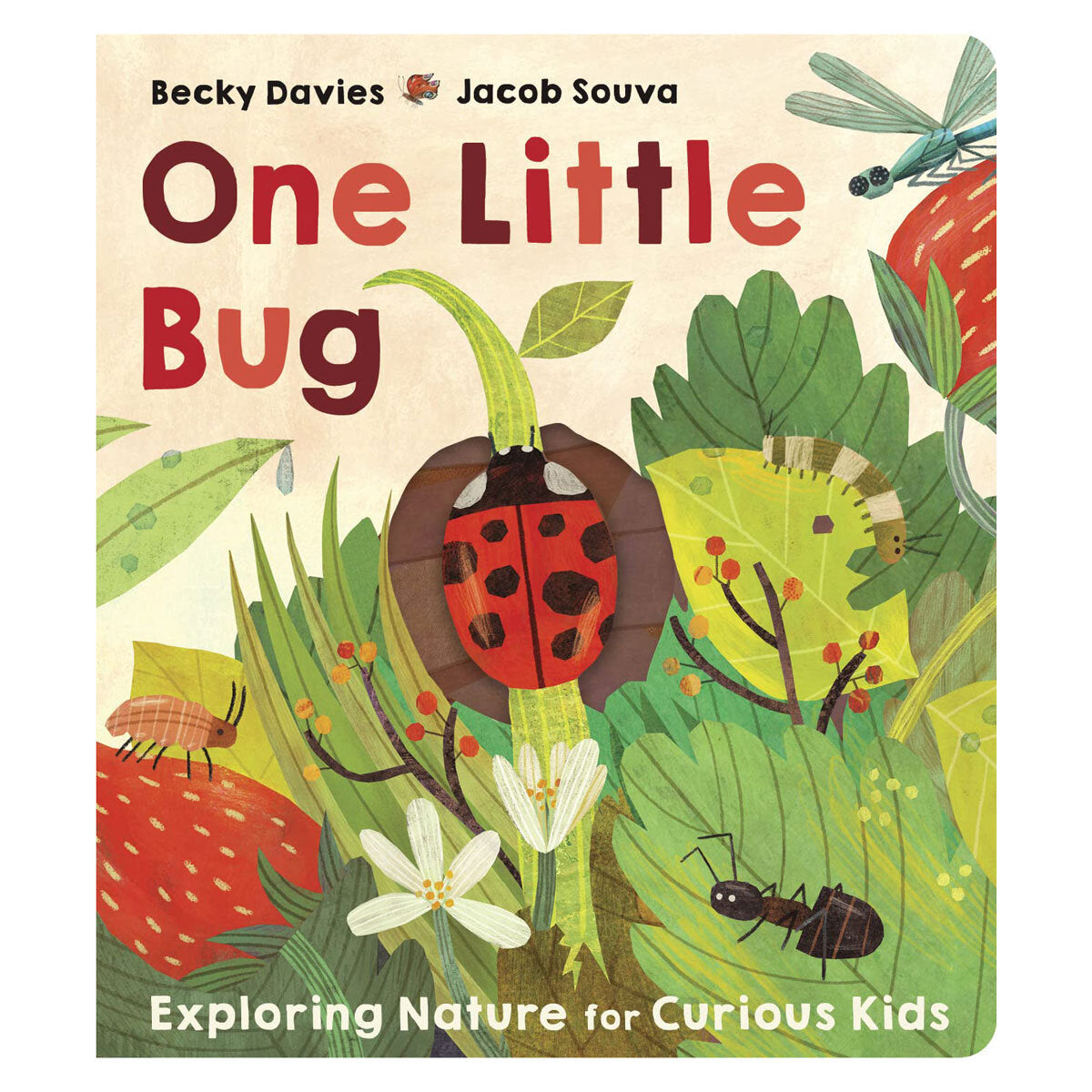 One Little Board Book by Becky Davies and Jacob Souva (British brand)