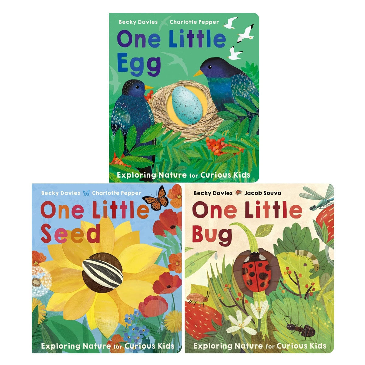 One Little Board Book by Becky Davies and Jacob Souva (British brand)