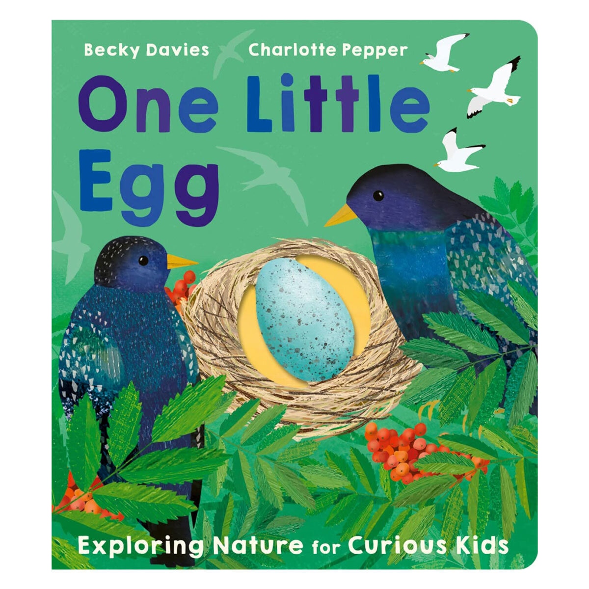 One Little Board Book by Becky Davies and Jacob Souva (British brand)