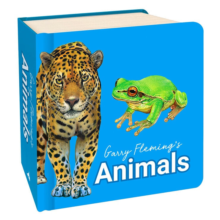 Garry Fleming Chunky Neon Board Books for children - British product