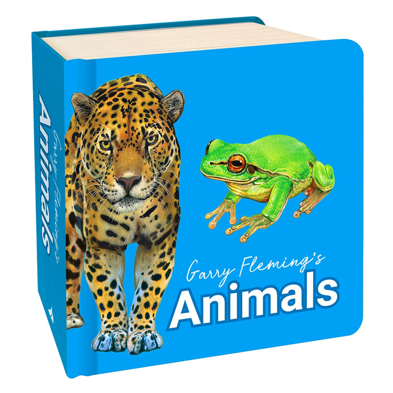 Garry Fleming Chunky Neon Board Books for children - British product
