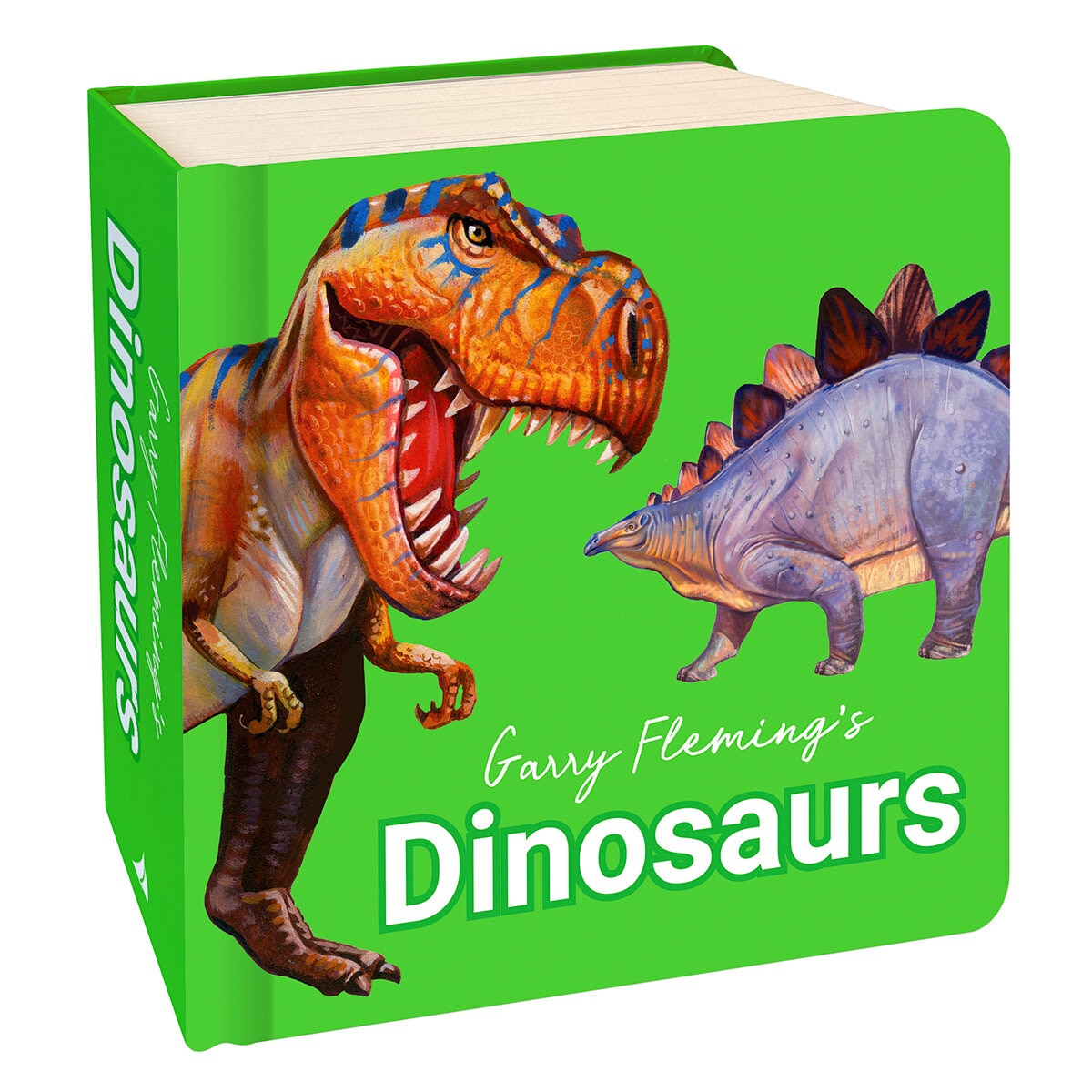 Garry Fleming Chunky Neon Board Books for children - British product