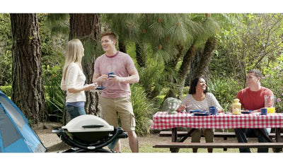 Weber Q 1000 tragbarer Gasgrill 12,2kg
