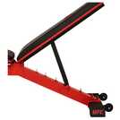 UFC Deluxe folding weight bench 454kg capacity (British brand)