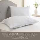 Snuggledown medium pillow 2 pack (British brand)