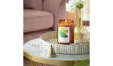 Habitat Geranium & Basil 13cm high scented jar candle, UK version
