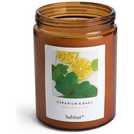 Habitat Geranium & Basil 13cm high scented jar candle, UK version