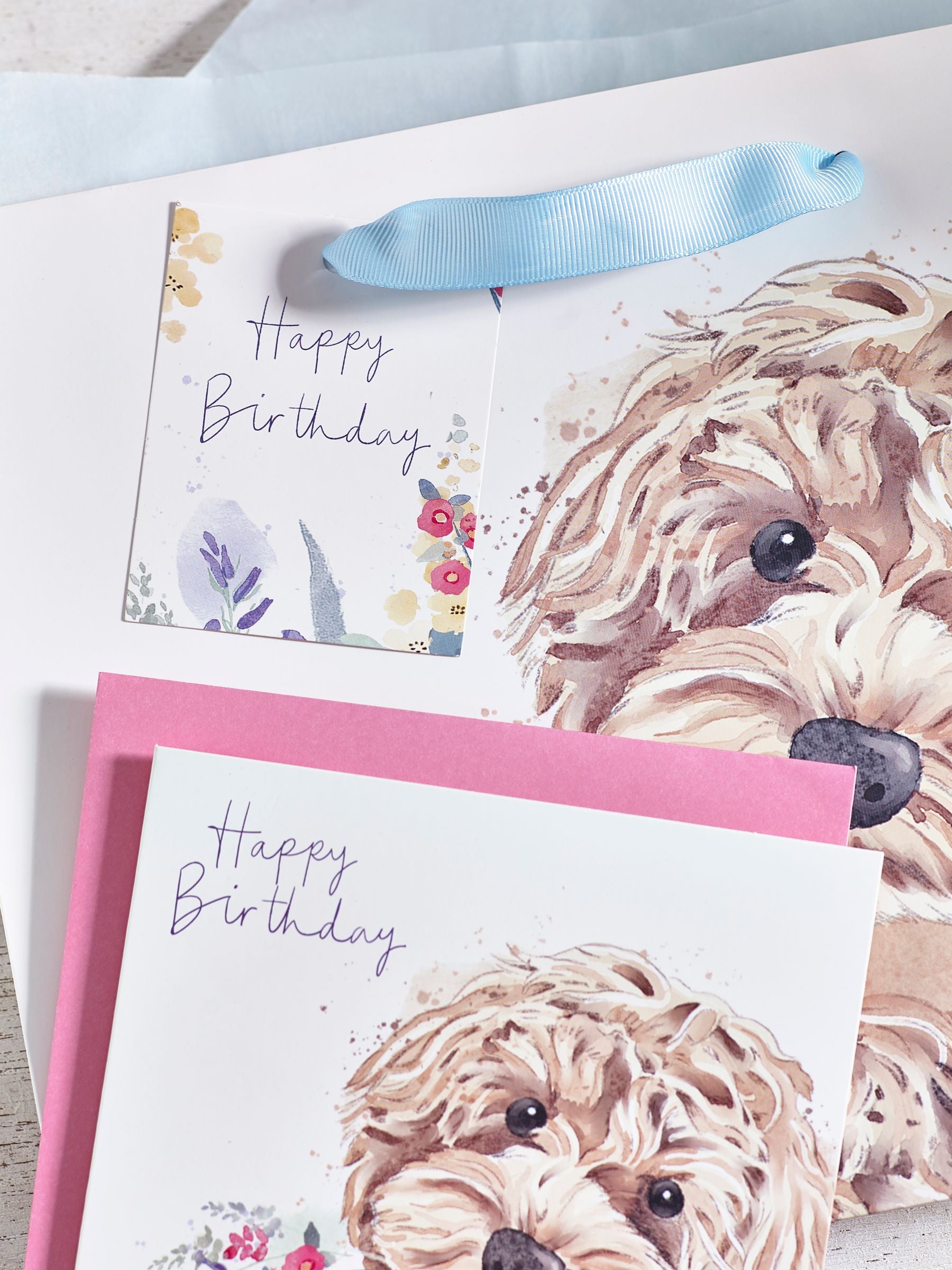 White cockapoo gift bag and card set (British brand)