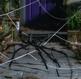 Argos Home Halloween outdoor web and spider decoration 25.4x27.3x7.6cm - British product