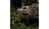 Argos Home Halloween dragon skull bone-white decoration (British brand)