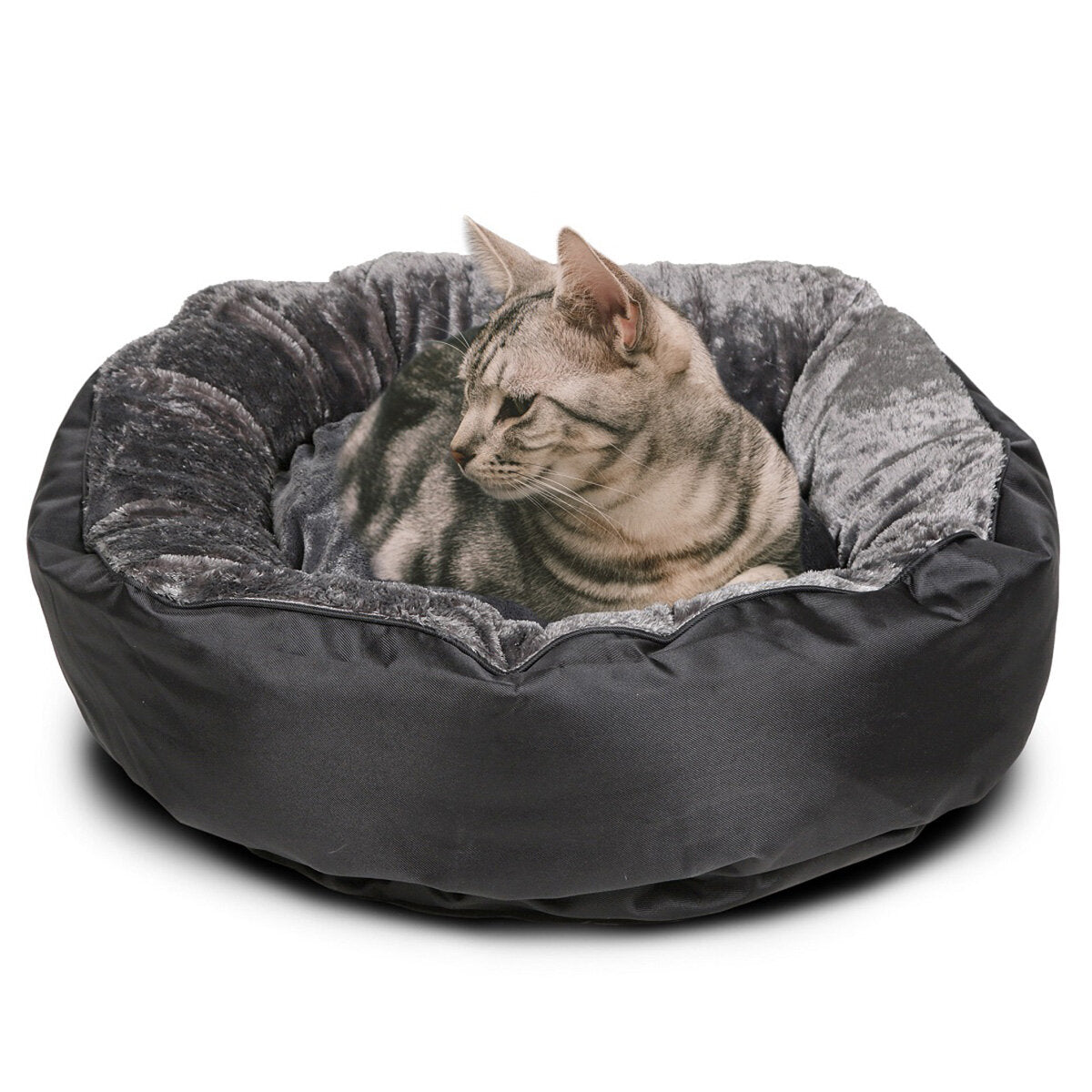 Snoozzzeee donut pet bed 8x25 inches, imported from the UK