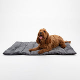 Scruffs reversible travel bed 100cm x 70cm (British brand)