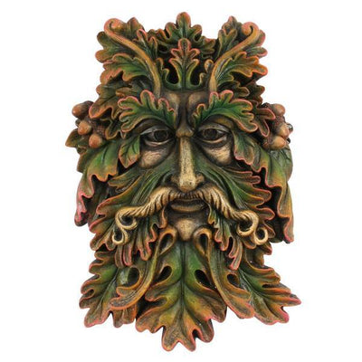 Superdrug Something Different The Green Man Face Plaque 22cm x 15cm x 5cm- Buy online at McGrocer