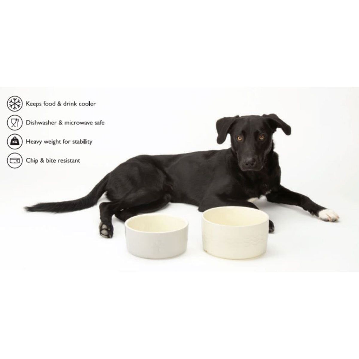 Scruffs Dog Food & Water Bowl Set GOODS Costco UK