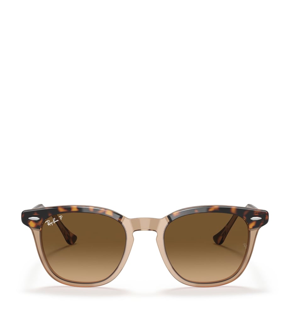 Ray-Ban Hawkeye sunglasses with acetate frame (British brand)