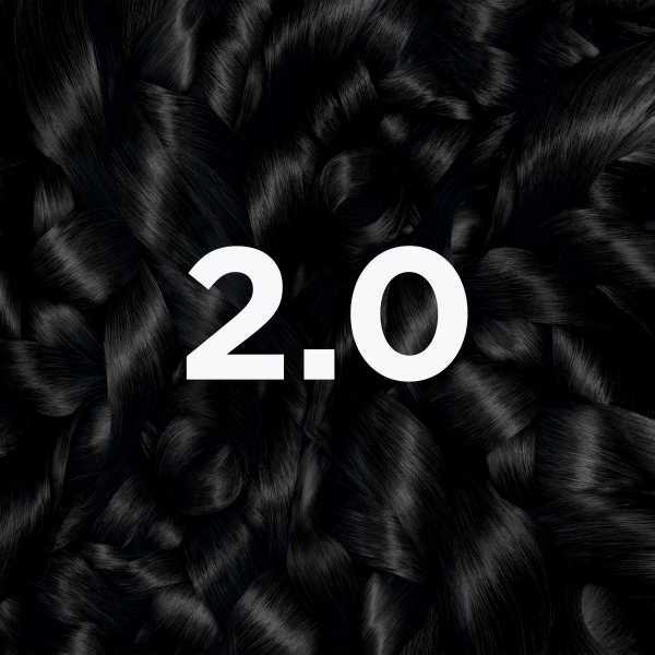 Garnier Permanent Hair Dye Truffle Soft Black 2.0, UK version