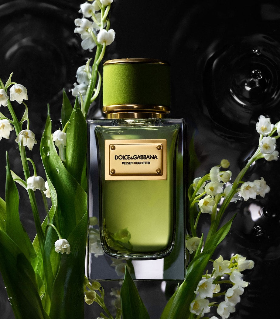 Dolce&Gabbana Velvet Mughetto eau de parfum 100ml, imported from the UK