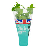 ASDA Cool  Refreshing Growing Garden Mint