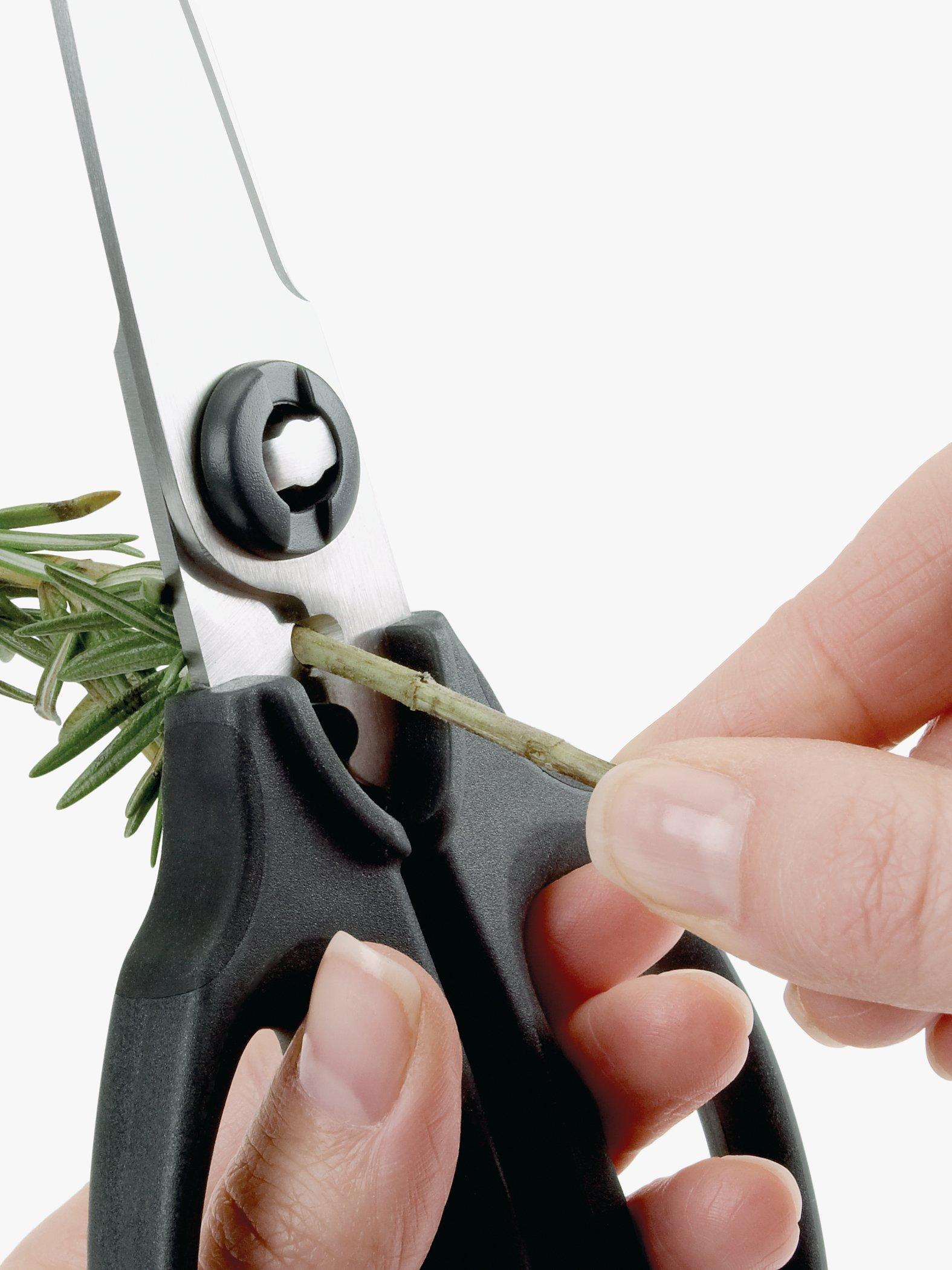 OXO Good Grips kitchen and herb scissors, imported from the UK