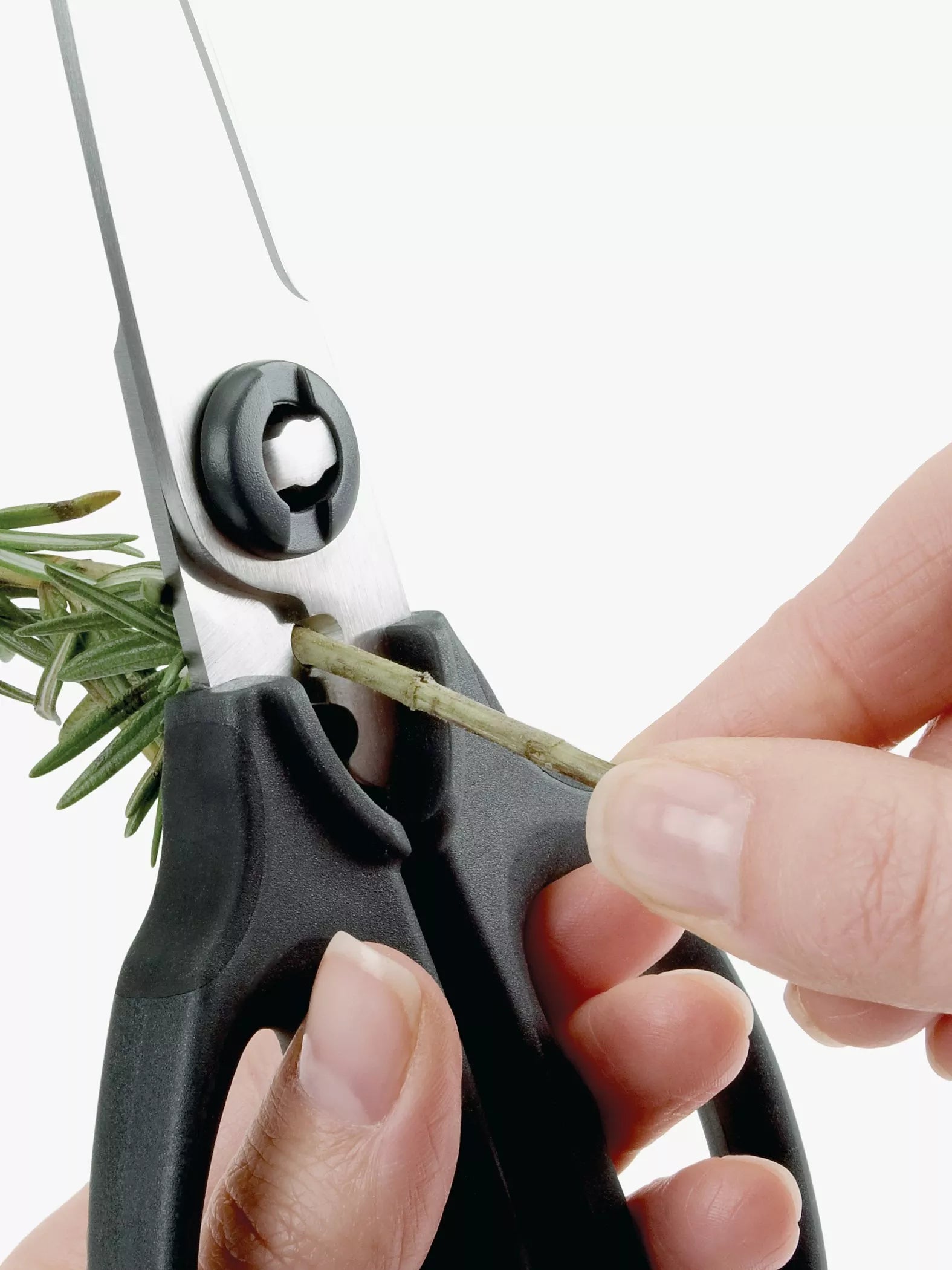 OXO Good Grips kitchen and herb scissors, imported from the UK
