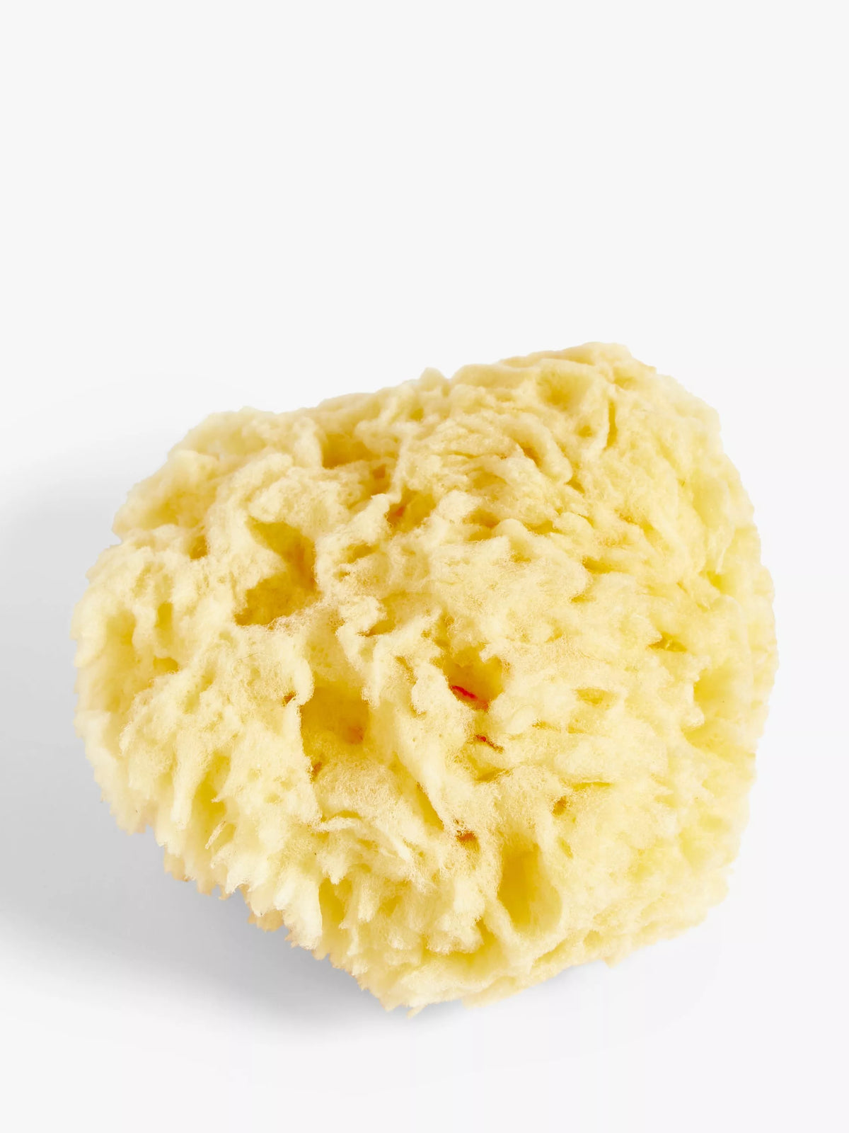 John Lewis natural baby bath sponge 7.5cm - British product