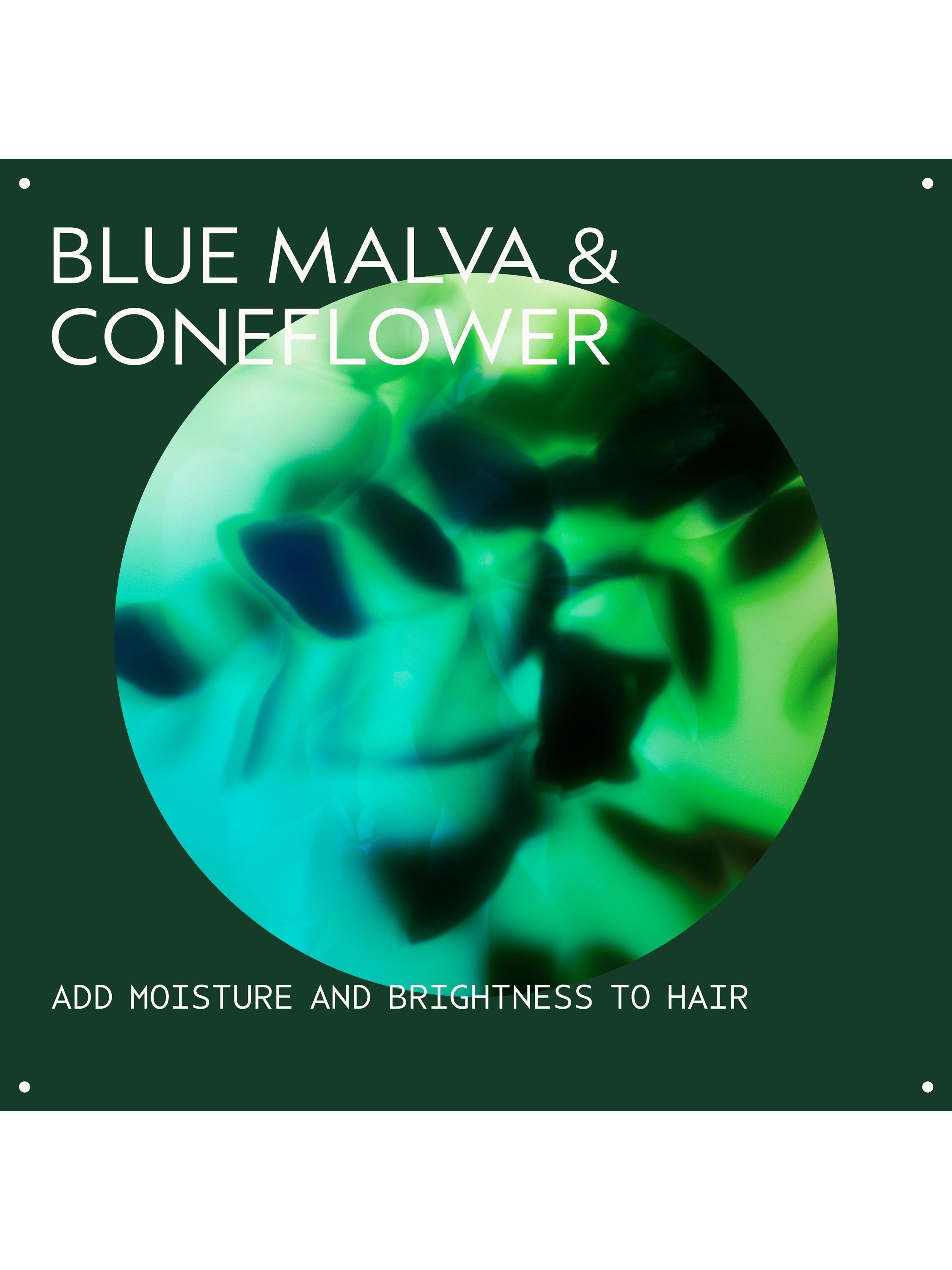 Aveda Color Enhance Blue Malva Shampoo, 1000ml