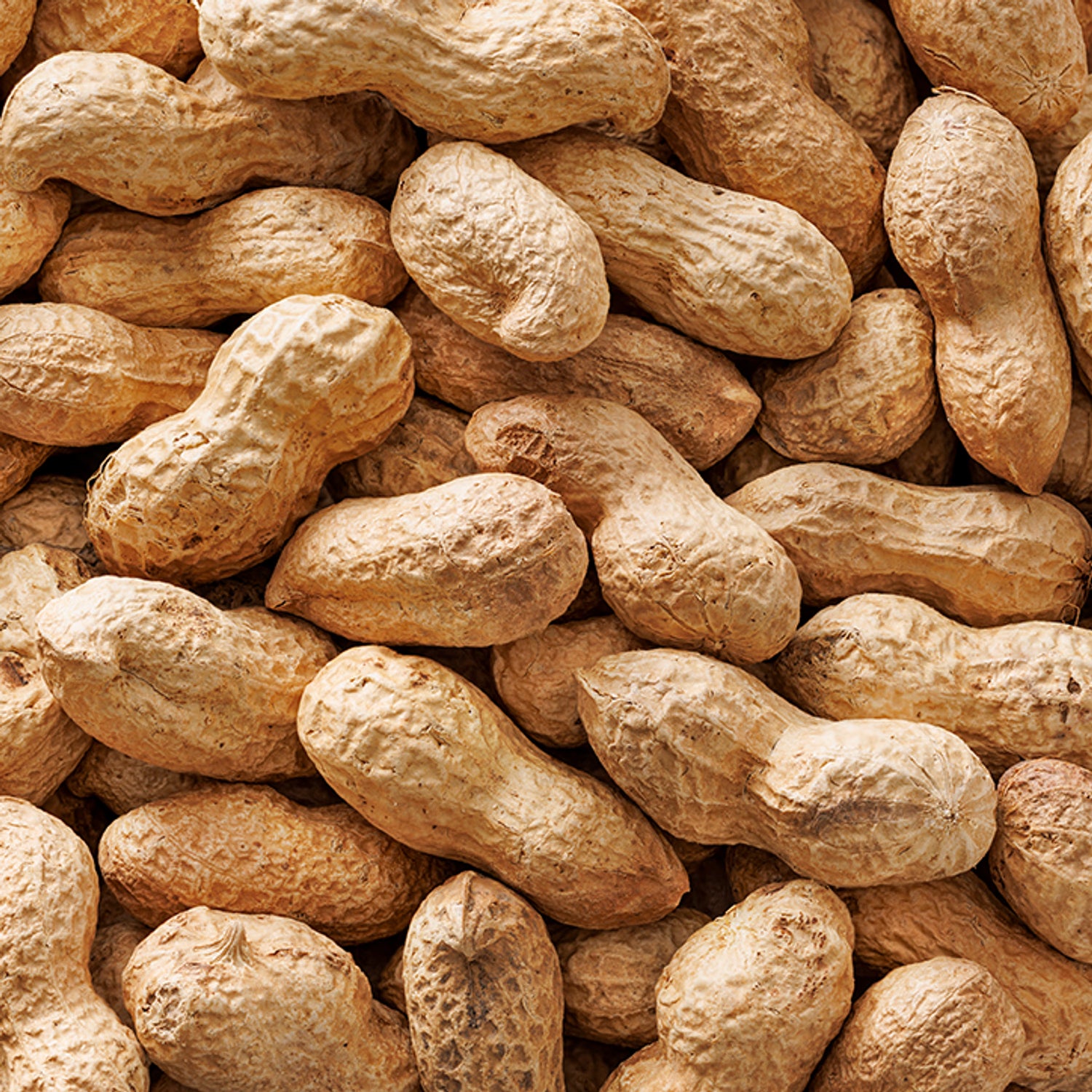 Holland & Barrett Roasted Monkey Nuts 300g, UK version