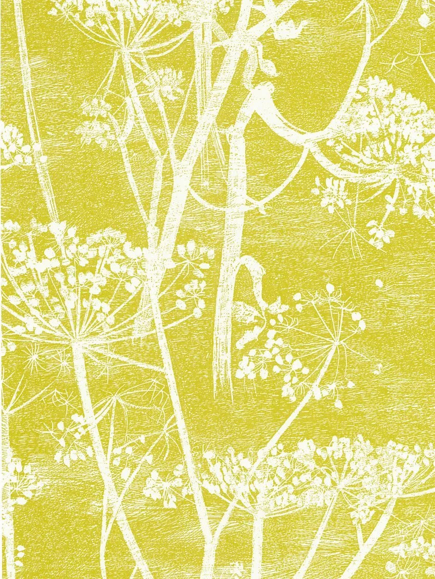 Cole & Son Cowparsley Wallpaper 10m x 53cm