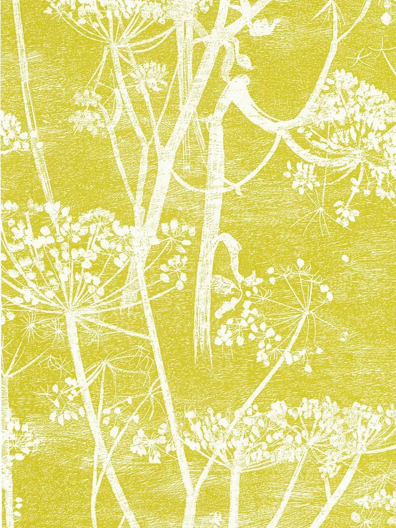 Cole & Son Cowparsley Wallpaper 10m x 53cm