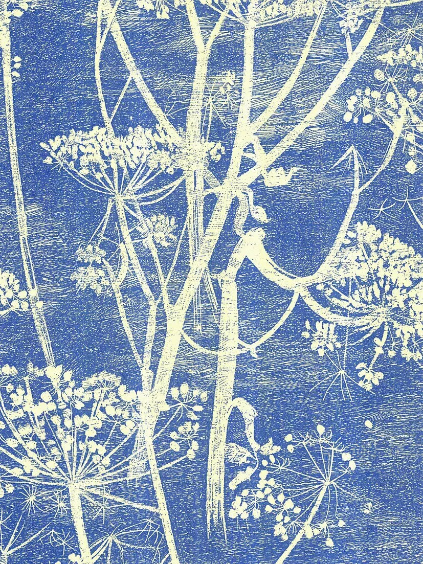 Cole & Son Cowparsley oversized wallpaper, UK version