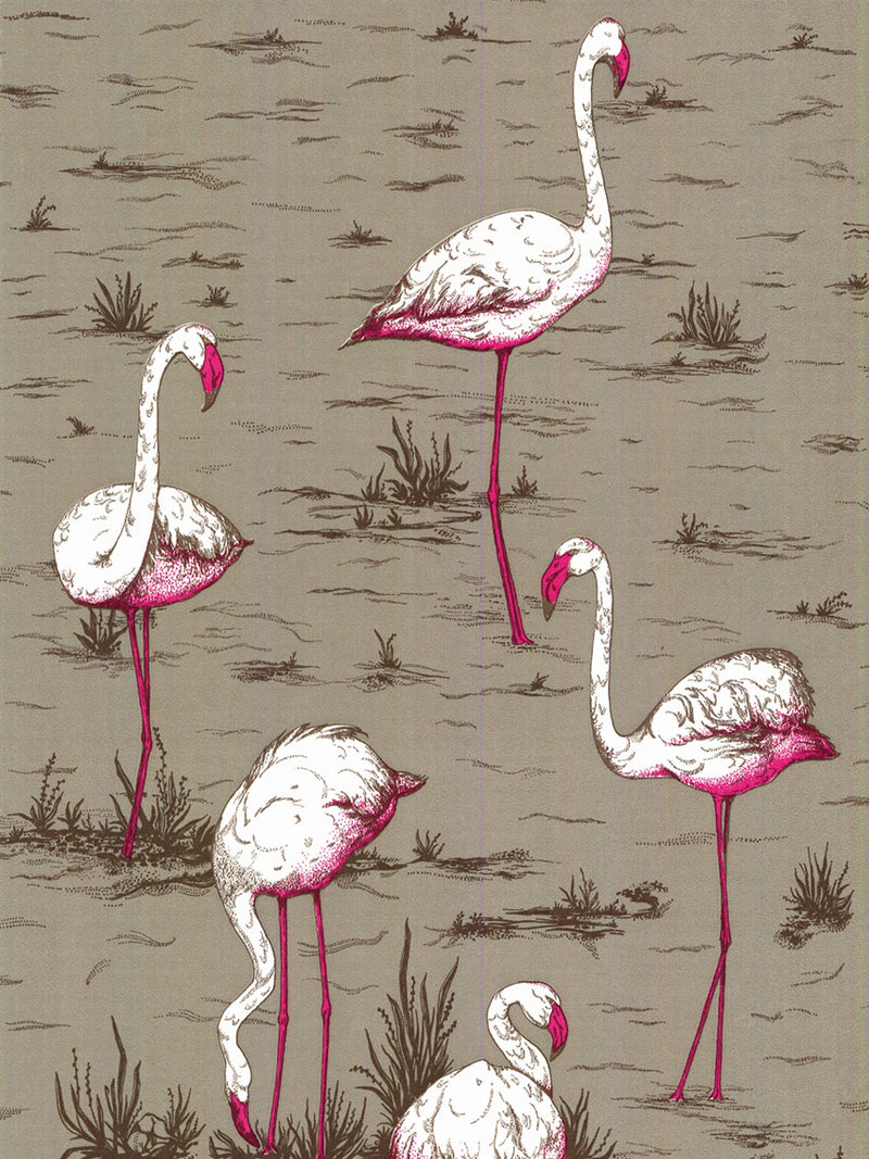 Cole & Son Flamingos wallpaper 10m x 52cm, UK version