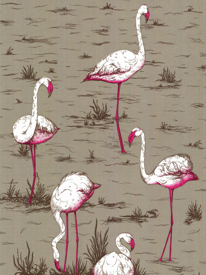 Cole & Son Flamingos Wallpaper 10m x 52cm