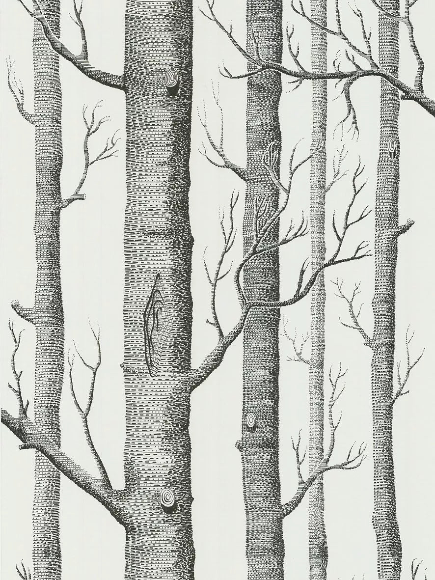 Cole & Son Woods Wallpaper L10m x W52cm