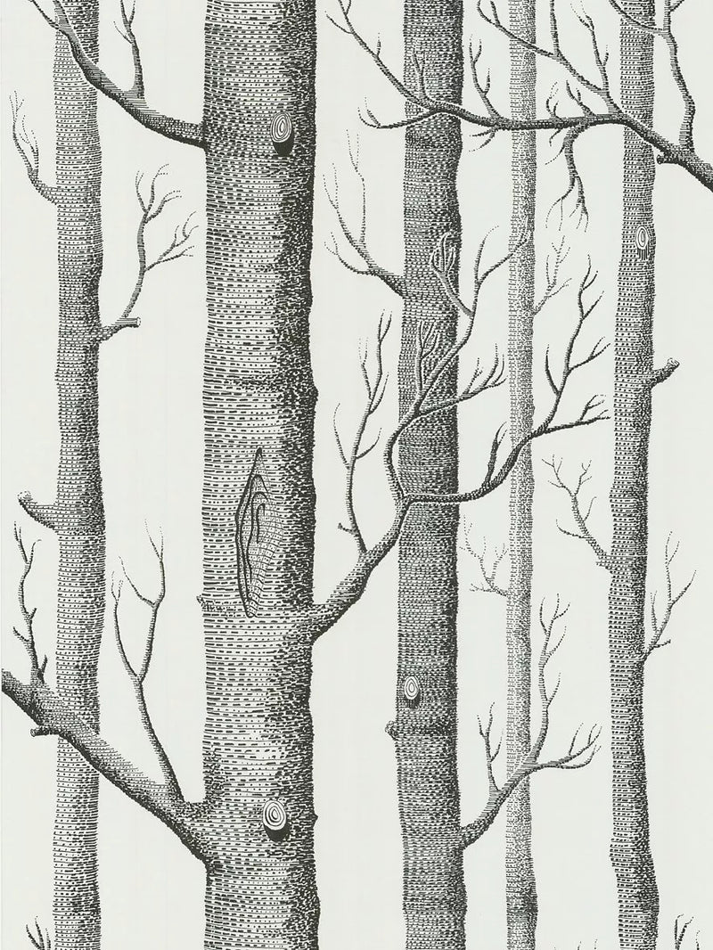 Cole & Son Woods Wallpaper L10m x W52cm
