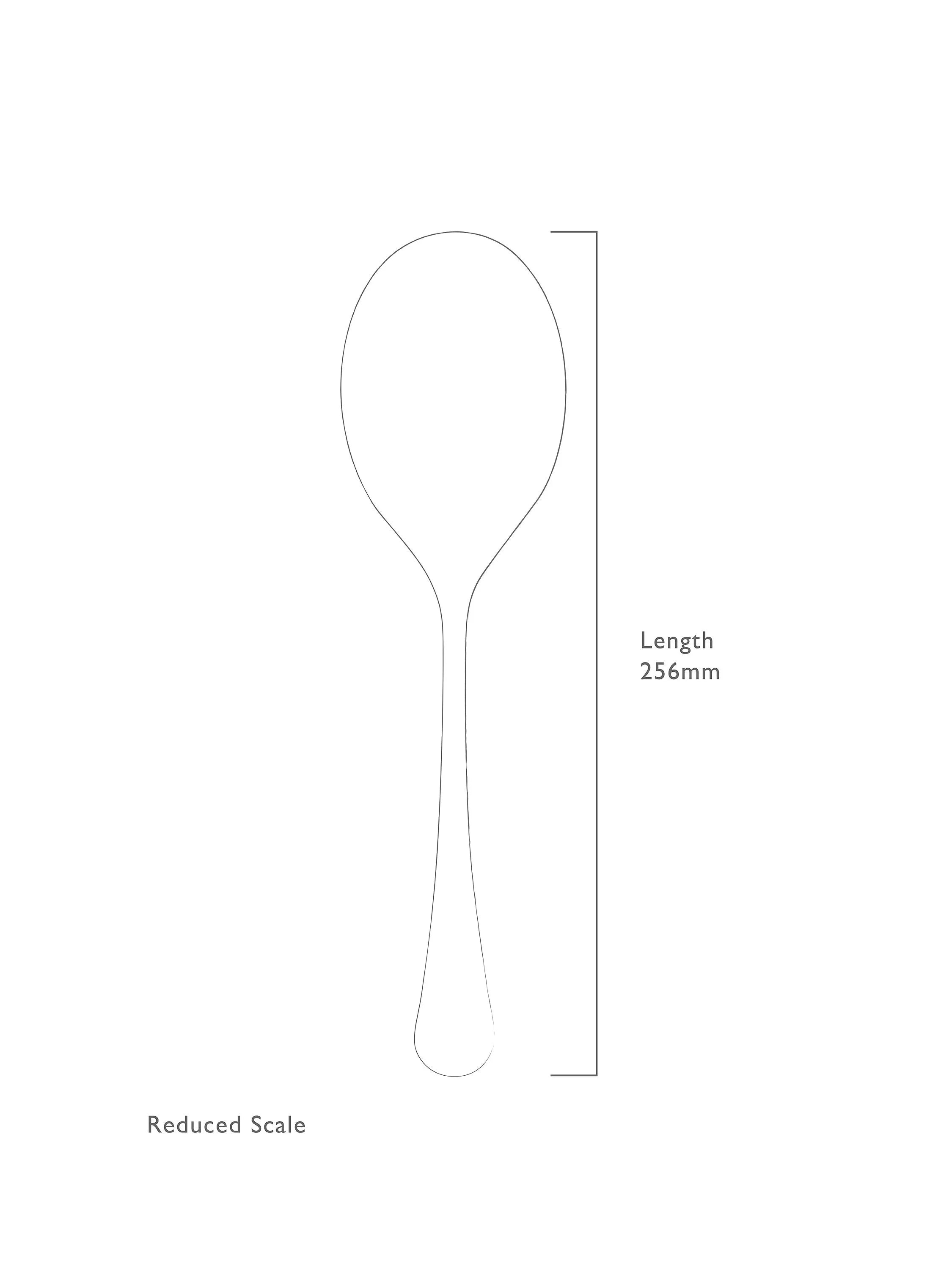 Robert Welch Radford serving spoon 25.7cm (British brand)