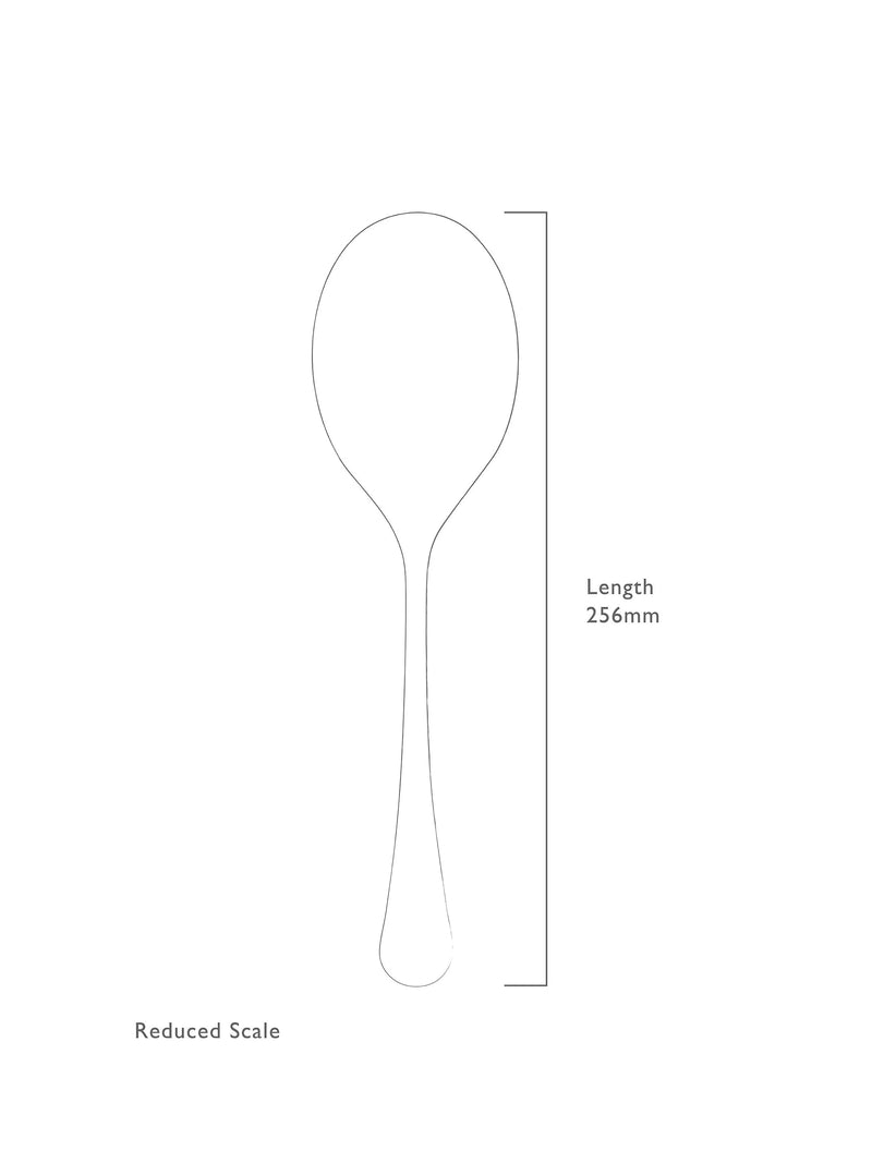 Robert Welch Radford serving spoon 25.7cm (British brand)
